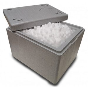 Dry Ice Compatible Coolers | And How to Use? - Cooler Daily