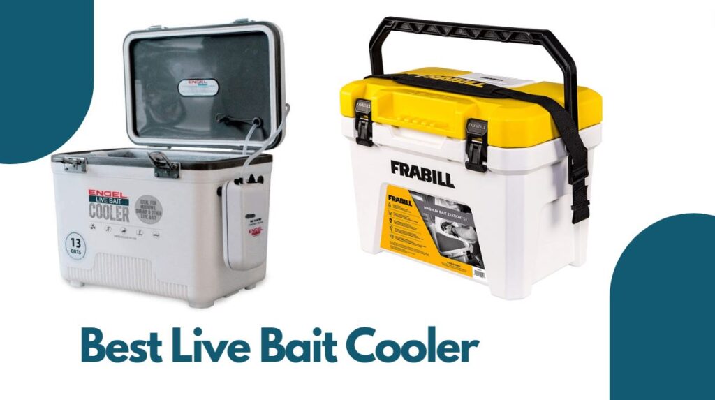 Best Live Bait Cooler
